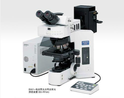 Metallographic microscope BX61