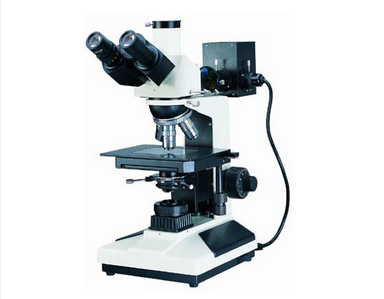 Transreflective upright metallographic microscope