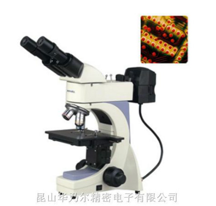 金像显微镜系列G-120A正置式金相显微镜