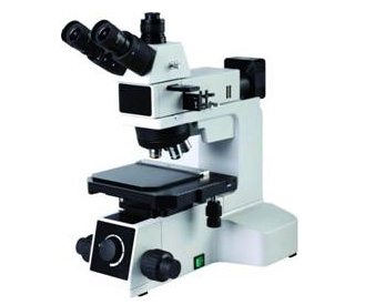 Conductive particle observation microscope