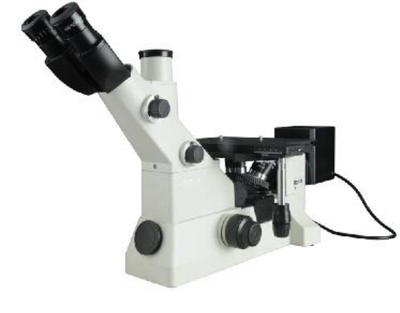 倒置显微镜