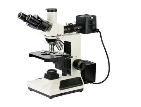 Transreflective upright metallographic microscope