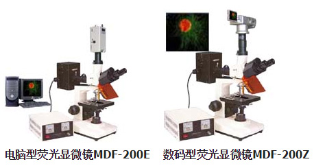 数码型MDF-200Z